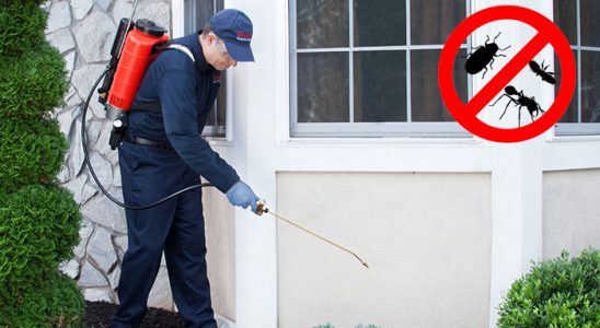 Doğanşar Dezenfeksiyon böcek ilaçlama ve haşere kontrolü — ilaclama-tr.com